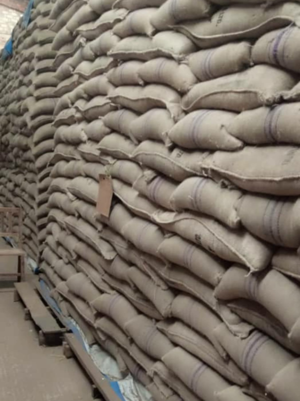 Robusta Green Coffee Beans for export from Uganda