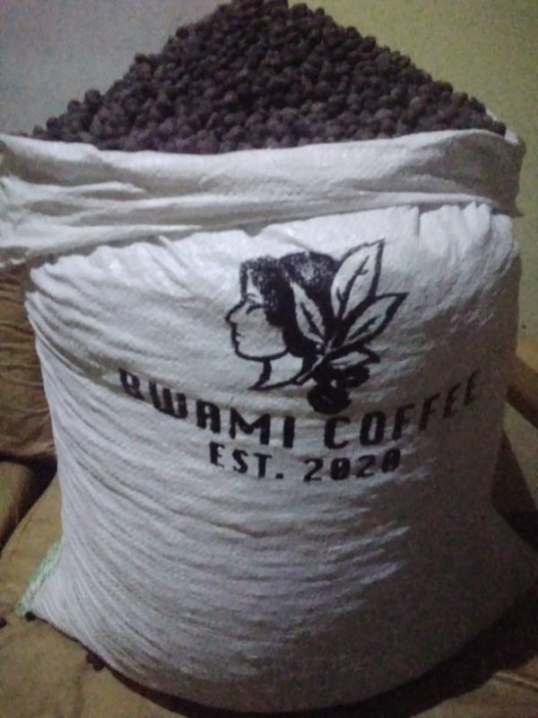 Robusta Coffee green beans for export from Kampala Uganda
