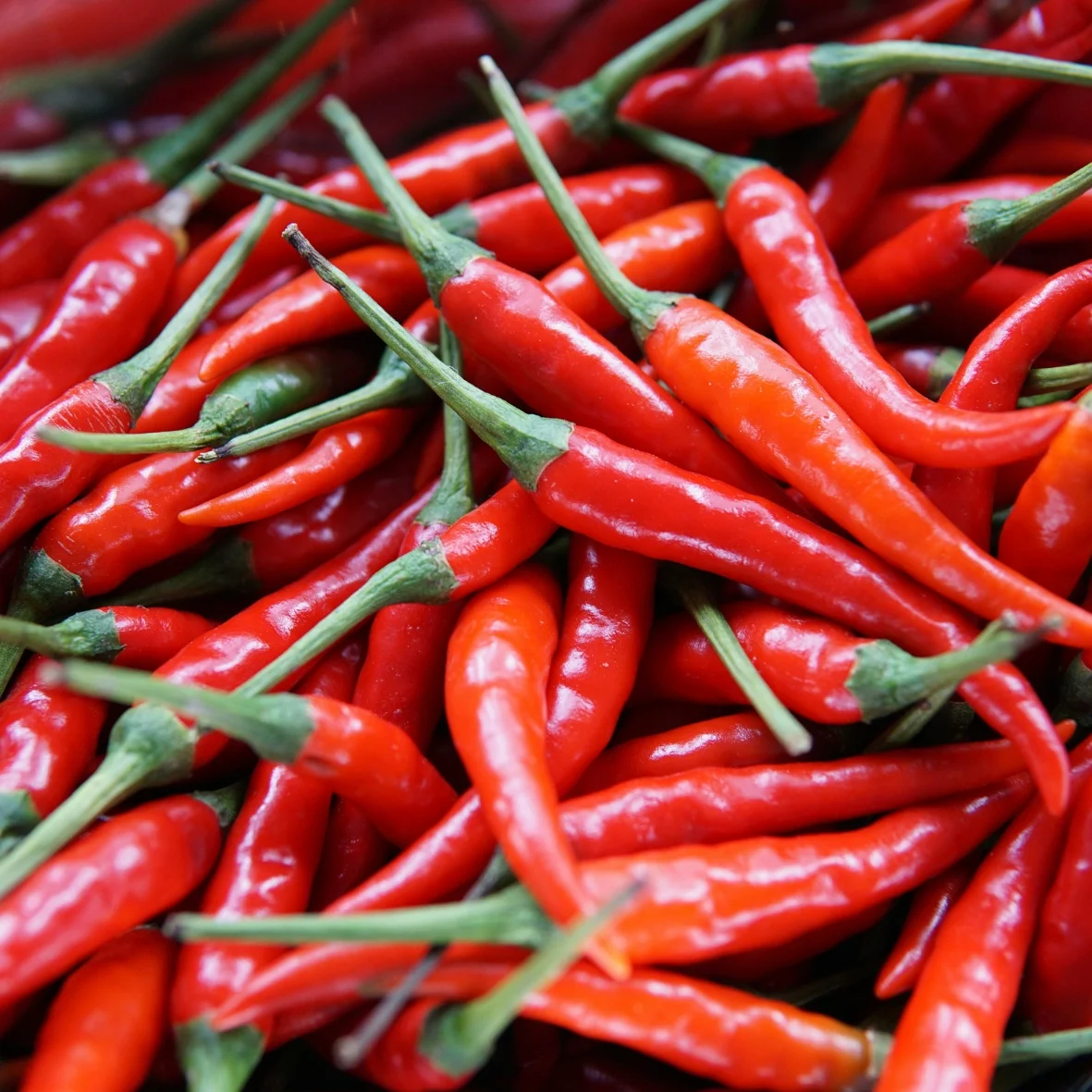 Uganda Cayenne Pepper