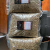 Arabica green coffee beans sample