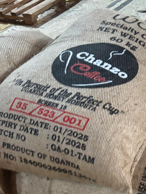 Arabica Green Coffee beans