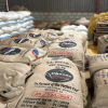 Arabica Coffee beans for export from Uganda