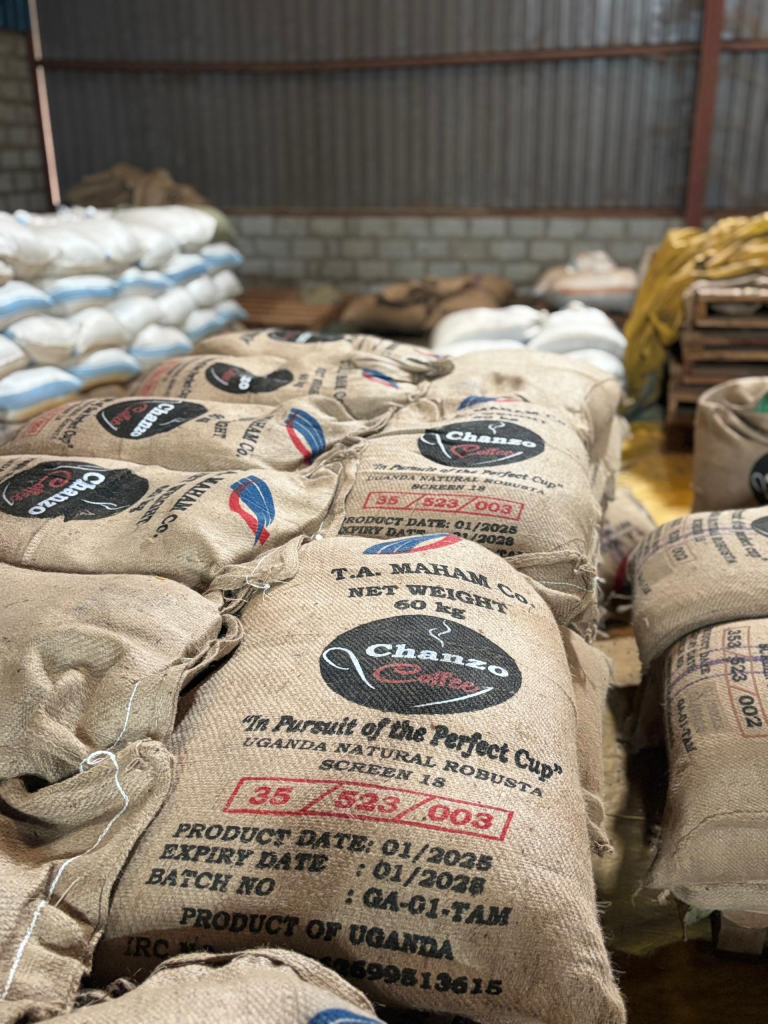 Arabica Coffee beans for export from Uganda