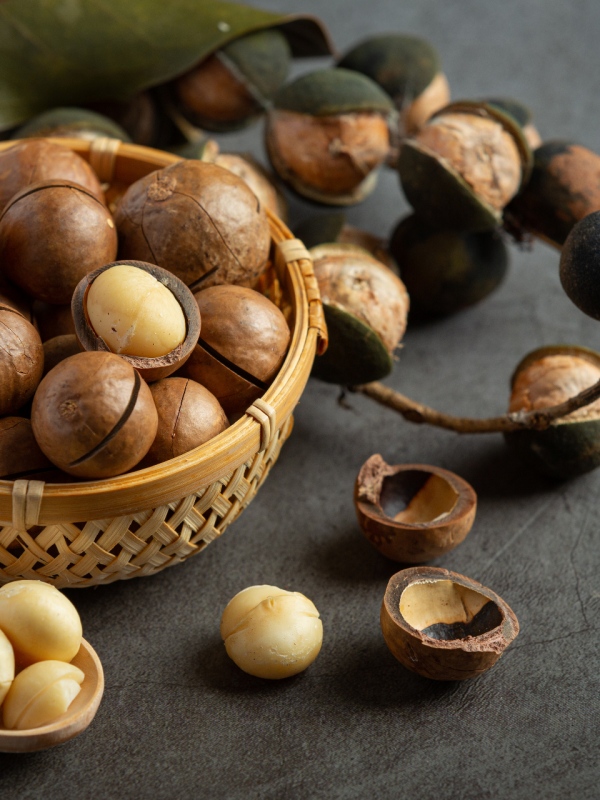 Macadamia Nuts Uganda