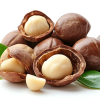 Macadamia Nuts Uganda