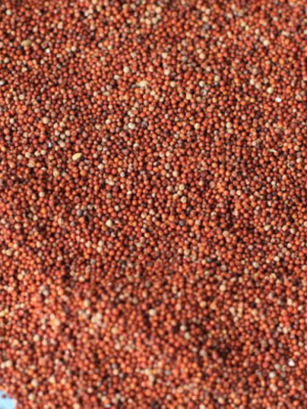 Millet