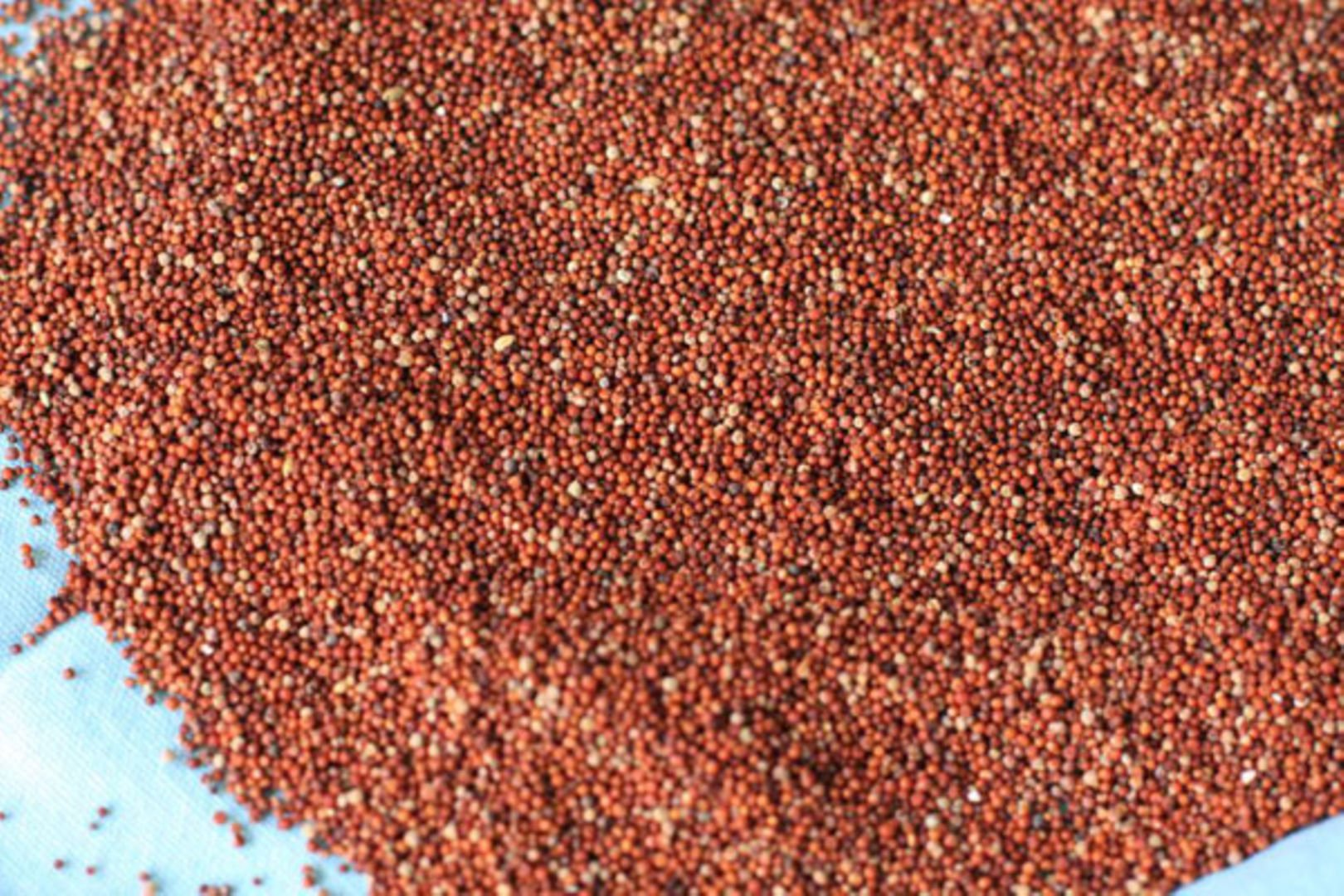 Millet