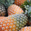 Pineapples sourced from Uganda