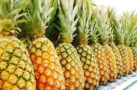 fresh fruits