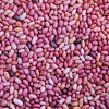 Uganda Beans