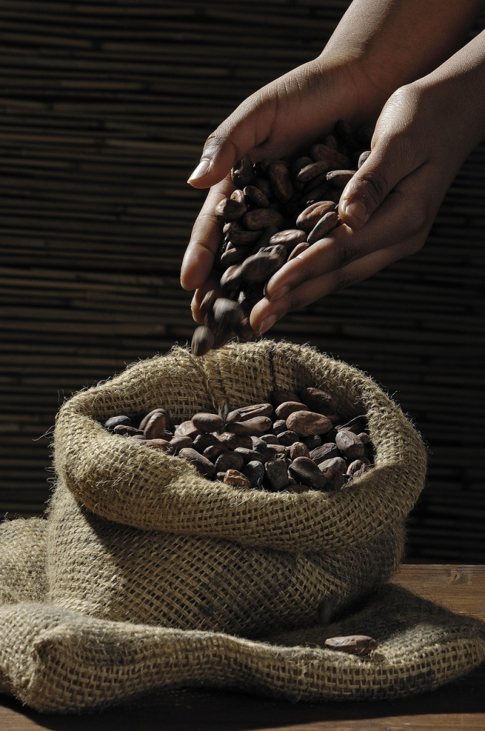 Cocoa beans