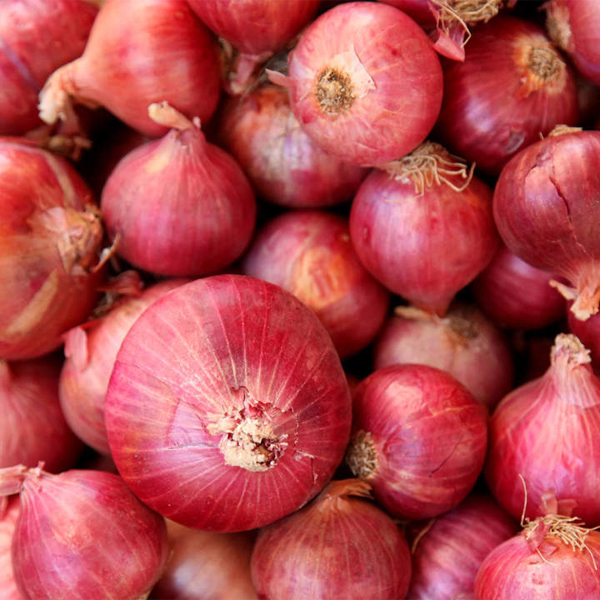 Buy Onions and shallots in Kampala