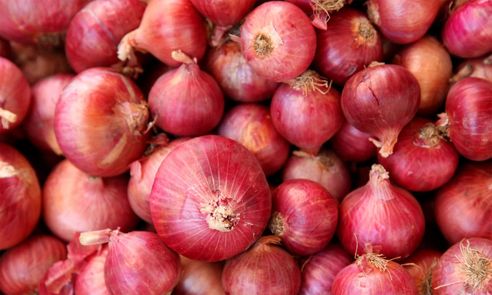 Buy Onions and shallots in Kampala