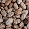 beans