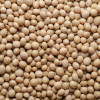 Soybeans Uganda