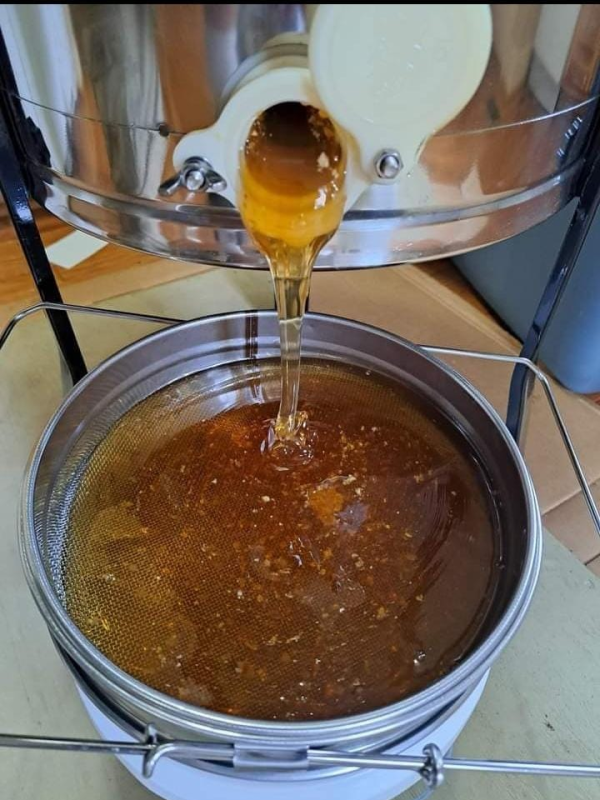 honey Uganda