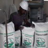 cassava flour