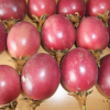 passion fruits